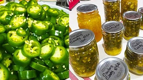 How To Make Cowboy Candy Jalapeno Peppers | DIY Joy Projects and Crafts Ideas