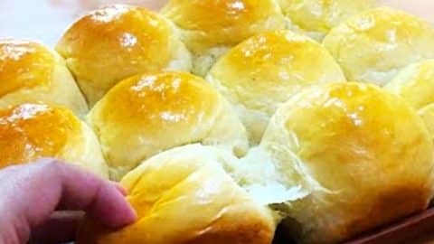 How To Make No-Knead Dinner Rolls | DIY Joy Projects and Crafts Ideas