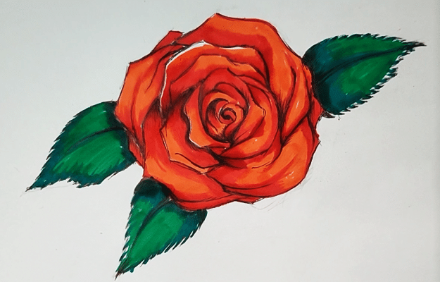 How to Draw A Rose - Easy Drawing Idea for Drawing Roses With Step by Step tutorial and Video