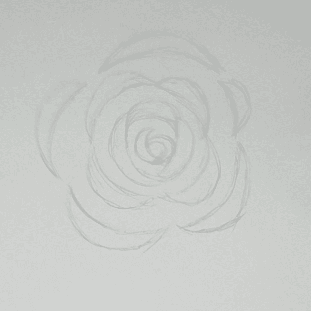 simple rose drawings in pencil