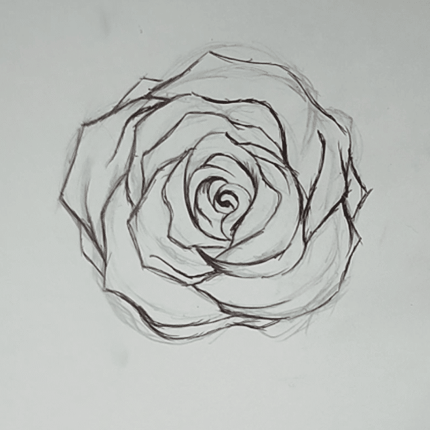 how to draw roses step by step with pencil