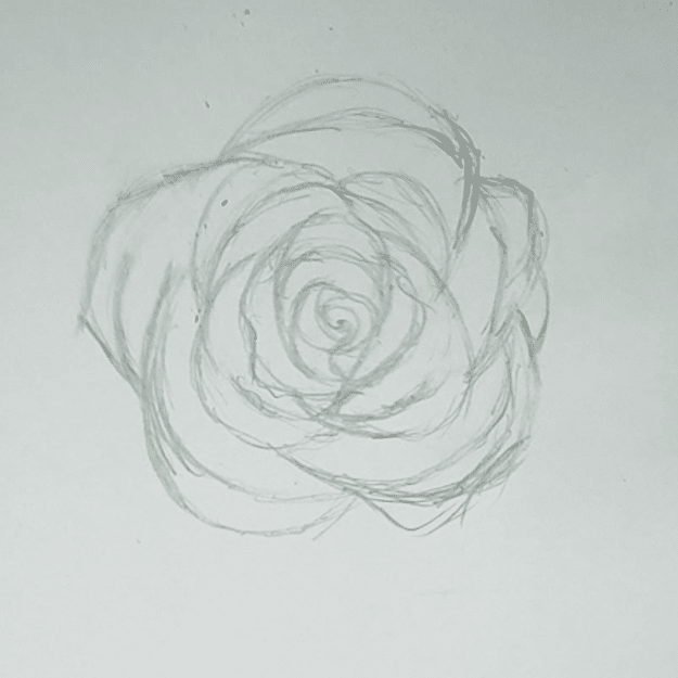 cool easy drawings of roses