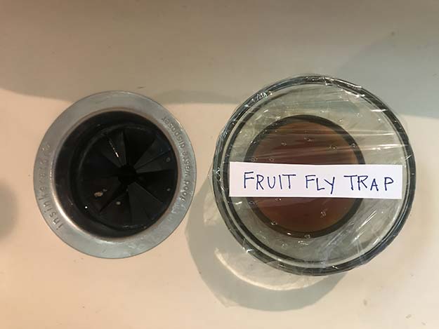 Mason Jar Ideas - Fruit Fly Trap - How to Make Fruit Flies Go Away With Homemade Trap for Bugs