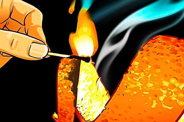 How To Rid The Home Of Any Odors