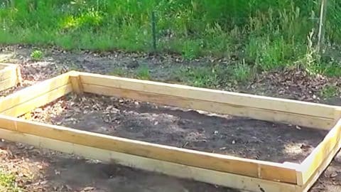 How To Make A $15 Raised Garden Bed | DIY Joy Projects and Crafts Ideas