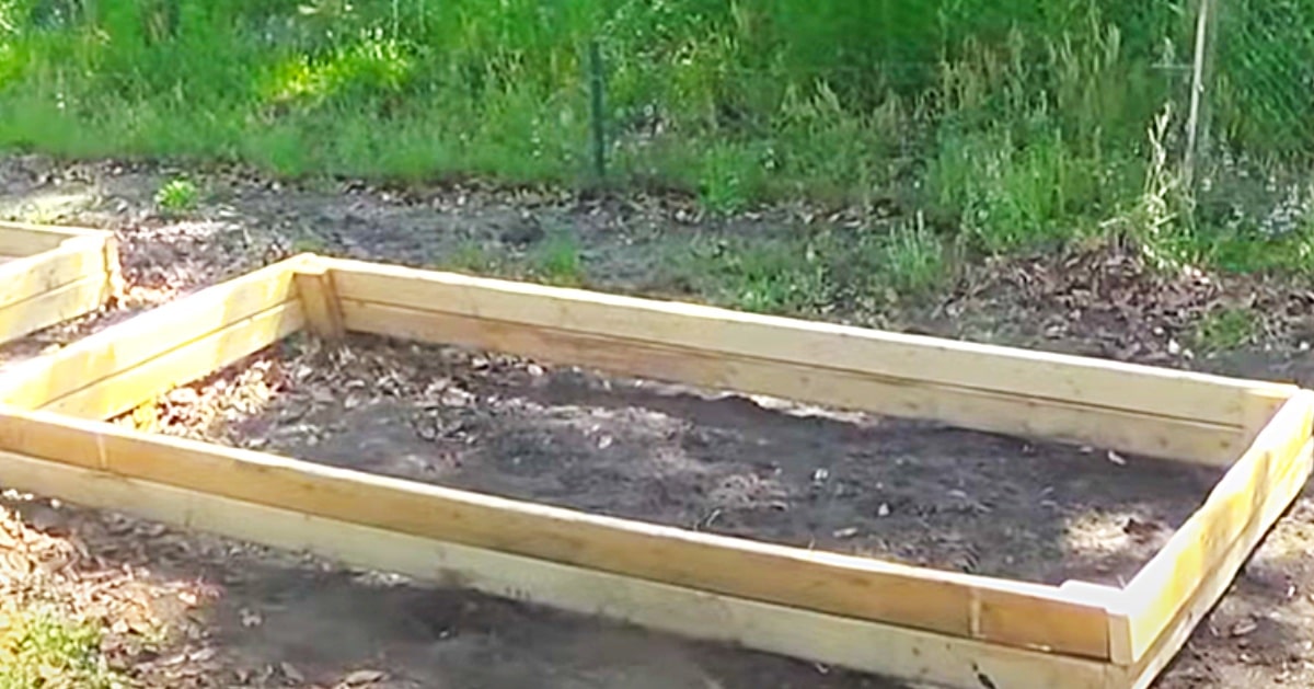 How To Make A $15 Raised Garden Bed | DIY Joy Projects and Crafts Ideas