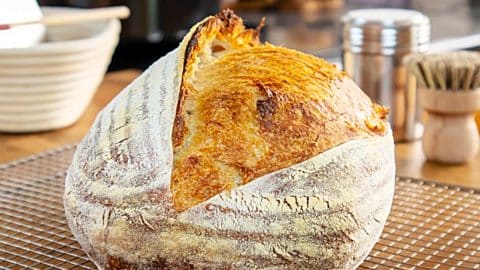 No-Knead Sourdough Bread Recipe | DIY Joy Projects and Crafts Ideas