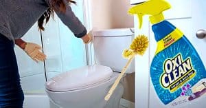 How To Deep Clean A Toilet