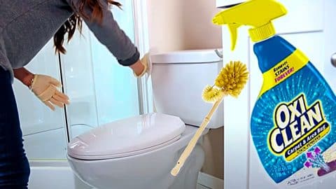 How To Deep Clean A Toilet | DIY Joy Projects and Crafts Ideas