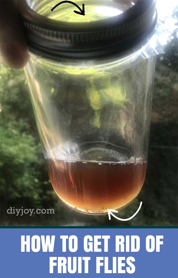 How to Get Rid of Fruit Flies In Kitchen - Homemade Fruit Fly Trap tp Make With Mason Jar and Vinegar - Natural Ways to Get Rid of Bugs in Kitchen and Around Sink - DIY Fruit Fly Trap - Cool Mason Jar Hacks 