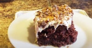 Better Than Anything Cake Recipe
