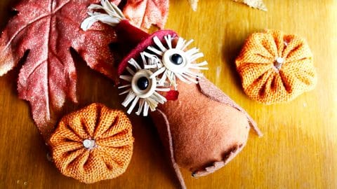 DIY Felt Owls | DIY Joy Projects and Crafts Ideas