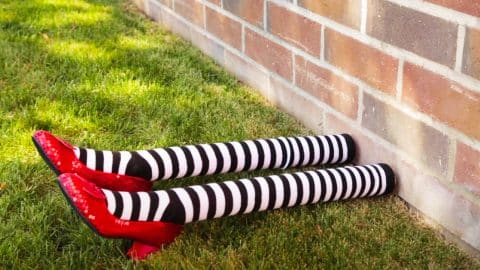 DIY Wizard Of Oz Wicked West Halloween Decor | DIY Joy Projects and Crafts Ideas