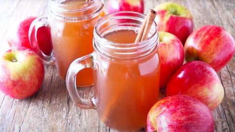 Slow Cooker Spiced Apple Cider Recipe | DIY Joy Projects and Crafts Ideas
