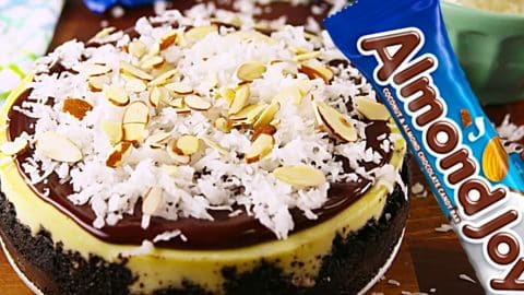 Almond Joy Cheesecake Recipe | DIY Joy Projects and Crafts Ideas