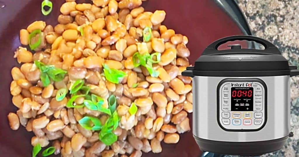 Instant Pot Pinto Bean Recipe - No Soak Pinto Beans - Easy Pinto Bean Recipe