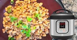 Instant Pot No-Soak Pinto Beans Recipe