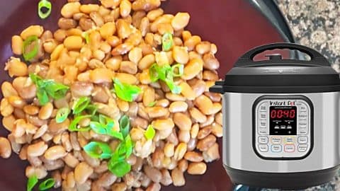 Instant Pot No-Soak Pinto Beans Recipe | DIY Joy Projects and Crafts Ideas