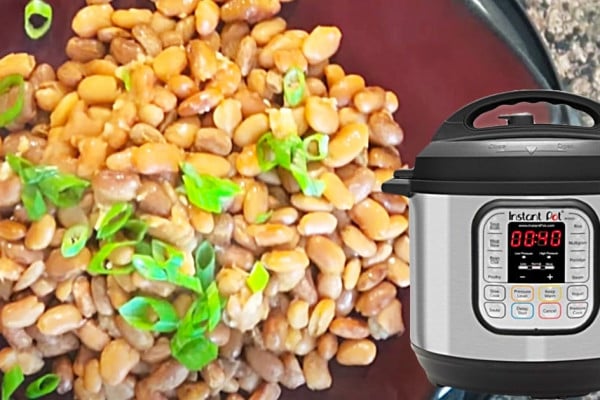 Instant Pot Pinto Bean Recipe - No Soak Pinto Beans - Easy Pinto Bean Recipe