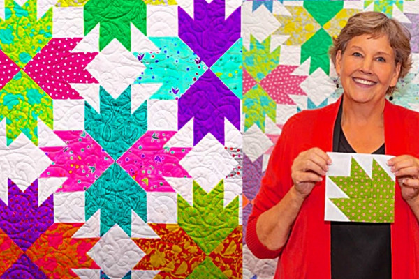 Make A Bear Claw Quilt - Easy Quilting Ideas - Jenny Doan Quilt Design