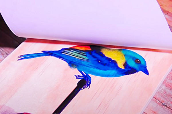 How To Make A Laser Photo Transfer - Wood Art - Laser Photocopy To Wood