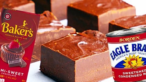 2-Ingredient Chocolate Fudge Recipe | DIY Joy Projects and Crafts Ideas