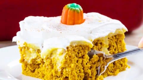 Pumpkin Spice Poke Cake Recipe | DIY Joy Projects and Crafts Ideas
