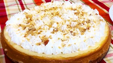 Texas Pecan Praline Cheesecake Recipe | DIY Joy Projects and Crafts Ideas