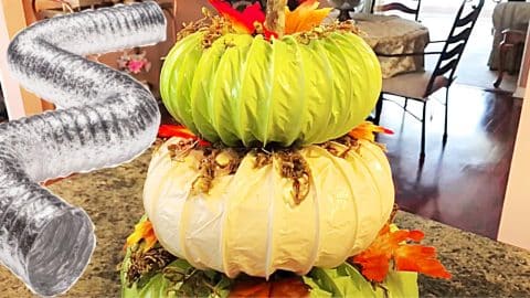 How To Make Pumpkin Topiary Using Dryer Duct Hose | DIY Joy Projects and Crafts Ideas