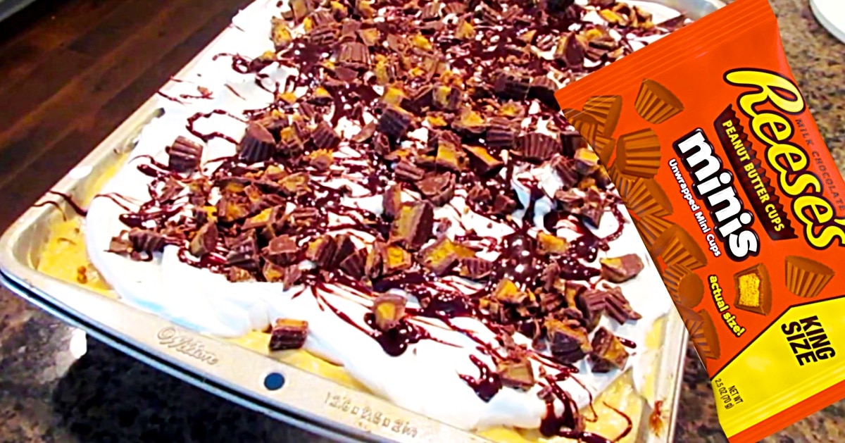 Reese’s Poke Cake Recipe | DIY Joy Projects and Crafts Ideas