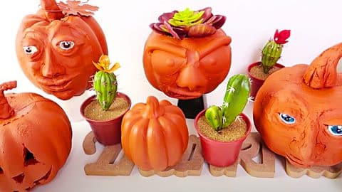 Dollar Tree Faux Terracotta Pumpkins | DIY Joy Projects and Crafts Ideas