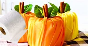 How To Make A Pumpkin Toilet Paper Wrap