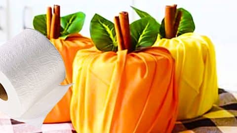 How To Make A Pumpkin Toilet Paper Wrap | DIY Joy Projects and Crafts Ideas
