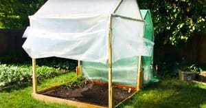 $20 DIY Greenhouse With Fold-up Walls