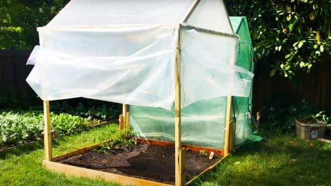 $20 DIY Greenhouse With Fold-up Walls | DIY Joy Projects and Crafts Ideas