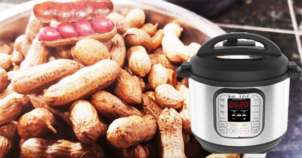 How To Make Boiled Peanuts In An Instant Pot - Boiled Peanuts Recipes - Instant Pot Recipes
