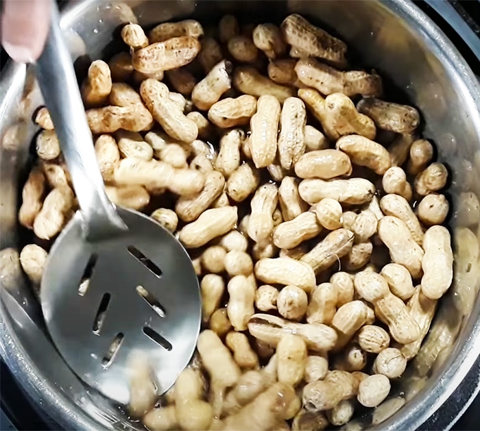 Boiled Peanuts Recipe - Southern Recipes