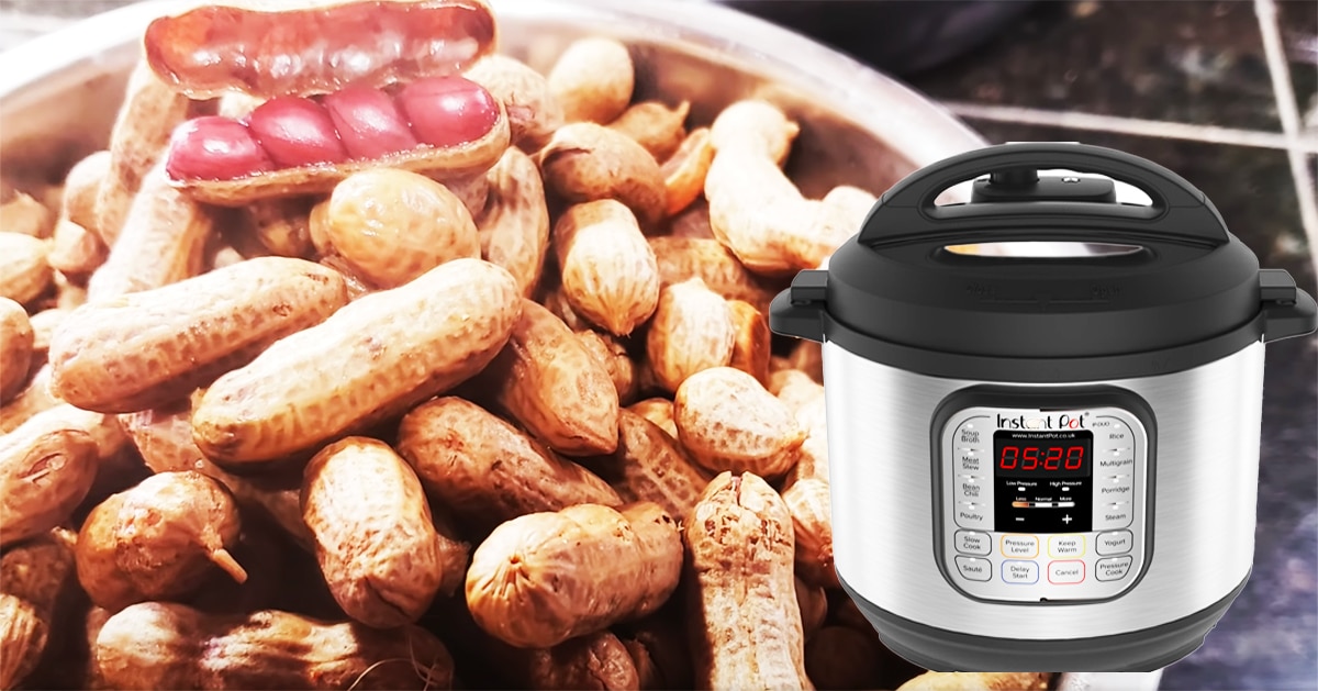 How To Make Boiled Peanuts In An Instant Pot | DIY Joy Projects and Crafts Ideas