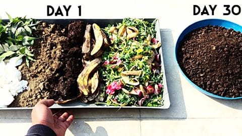 How To Make Compost From Kitchen Scraps | DIY Joy Projects and Crafts Ideas