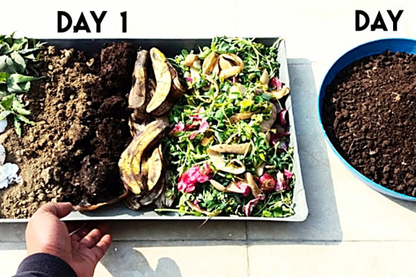 How To Make Compost At Home - Compost Ideas - Keeping Plants Healthy