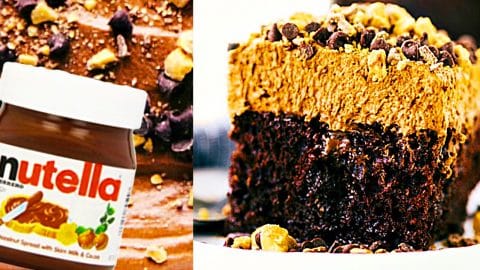 Nutella Poke Cake Recipe | DIY Joy Projects and Crafts Ideas