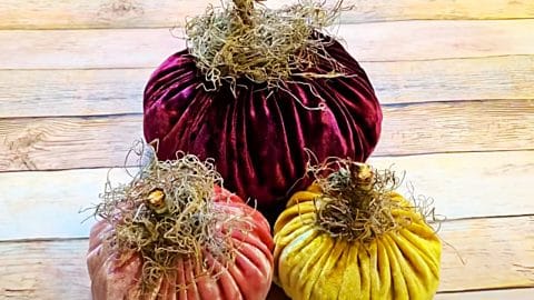How To Make Velvet Pumpkins | DIY Joy Projects and Crafts Ideas