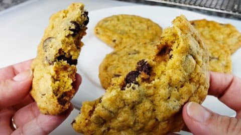 Doubletree Chocolate Chip Cookie Recipe | DIY Joy Projects and Crafts Ideas