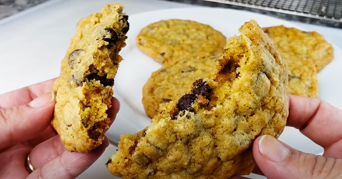 Doubletree Chocolate Chip Cookie Recipe | DIY Joy Projects and Crafts Ideas