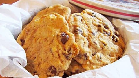 Copycat Neiman Marcus $250 Chocolate Chip Cookie Recipe | DIY Joy Projects and Crafts Ideas