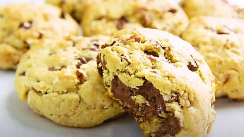 Nutty Cowboy Chocolate Chip And Coconut Cookies Recipe | DIY Joy Projects and Crafts Ideas