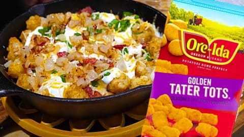Crispy Loaded Tater Tots Recipe | DIY Joy Projects and Crafts Ideas