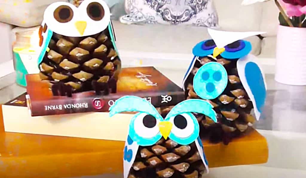 How To Make Pinecone Owls - DIY Pinecone Ideas - Pinecone Projects
