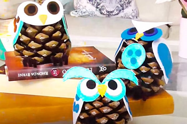 How To Make Pinecone Owls - DIY Pinecone Ideas - Pinecone Projects