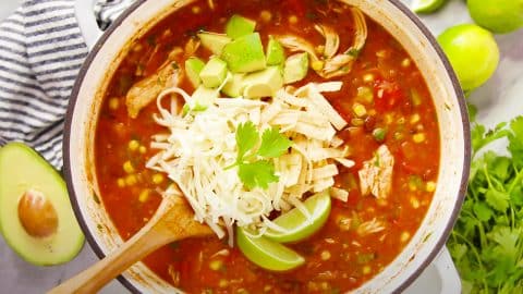 30-Minute Chicken Tortilla Soup Recipe | DIY Joy Projects and Crafts Ideas